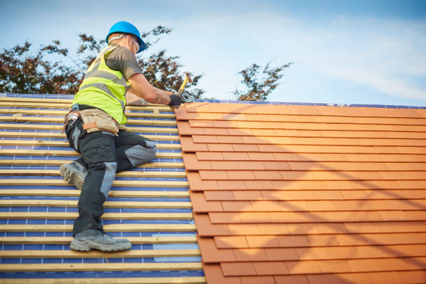 Best Roof Moss and Algae Removal  in Taylor Creek, FL